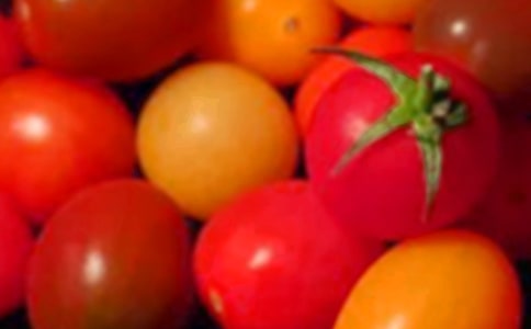 圣女果状物作文4篇