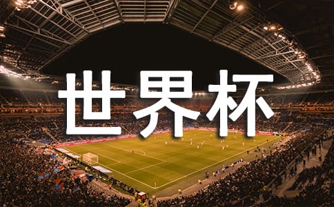 世界杯小学作文