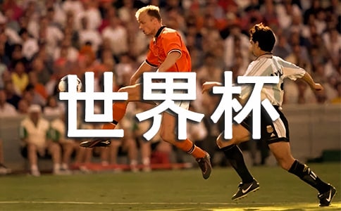 世界杯小学生作文