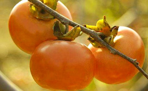 ���Ƽ������ӵ�����300����ƪ