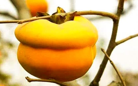 ��ʵ�á����ӵ�����600��4ƪ