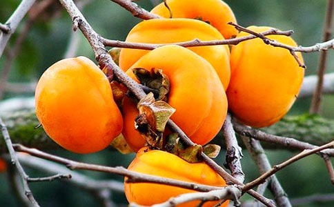 ��������600��