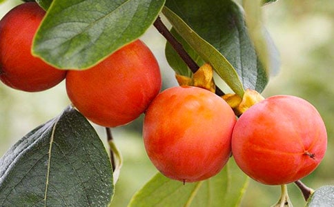 ���ӵ�����400�ְ�ƪ