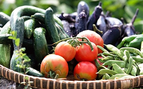 �߲�����500����ƪ