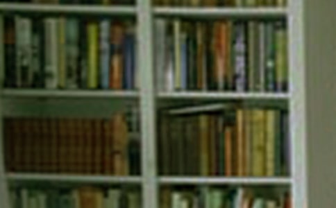 ʵ�õ��鷿����300����ƪ