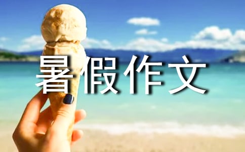 ʵ�õĳ������������ƪ