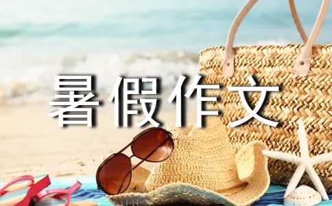 ��ѡ���꼶�ĵ��������300�־�ƪ