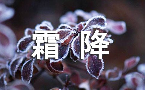 霜降作文(精选17篇)