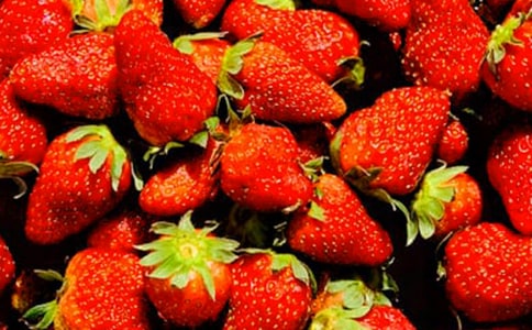 ���ڶ��꼶ˮ�����Ľ�����ƪ