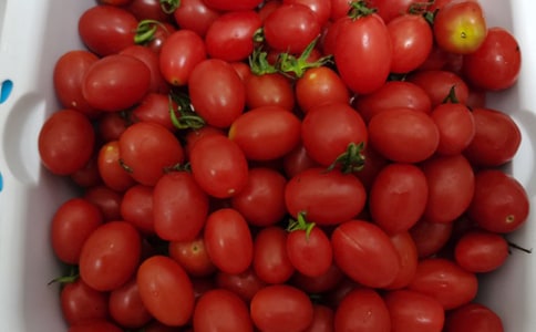 ϲ��ˮ������300��4ƪ