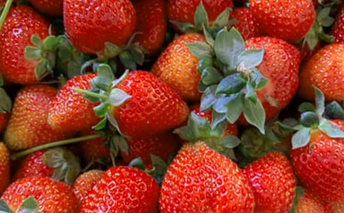 ����Ʒ�����꼶ˮ�����Ļ�����ƪ