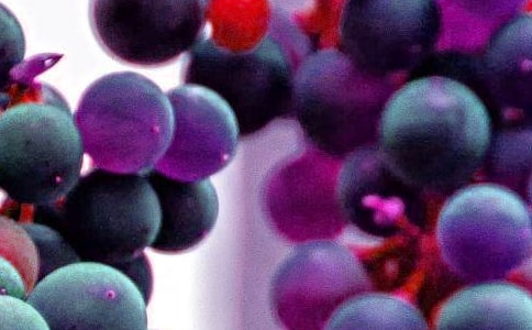 ��ѡˮ�����꼶���ļ���6ƪ