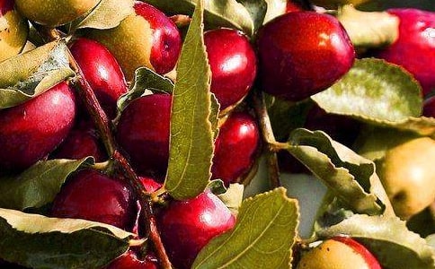 ʵ�õĶ��꼶ˮ�����Ľ���8ƪ