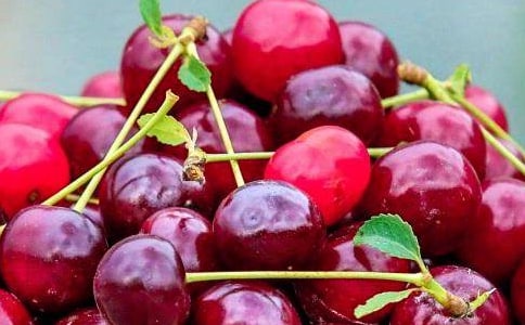 ���ڶ��꼶ˮ�����Ļ���10ƪ