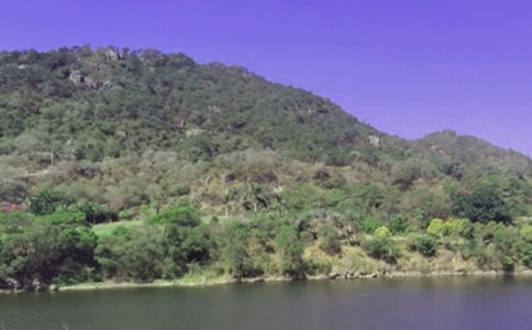 关于水库作文300字9篇