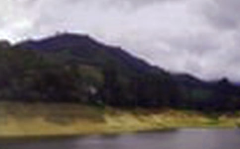 水库作文300字8篇