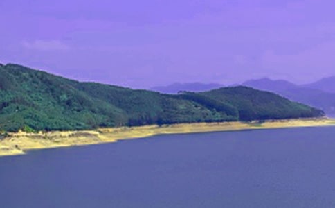 ˮ�������300��10ƪ�����ţ�