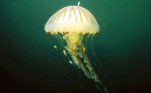 ��ѡˮĸ����300����ƪ