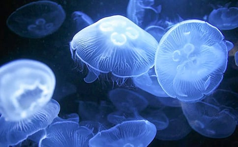 ˮĸ����300��3ƪ