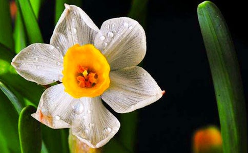 ��ѡˮ������300��4ƪ