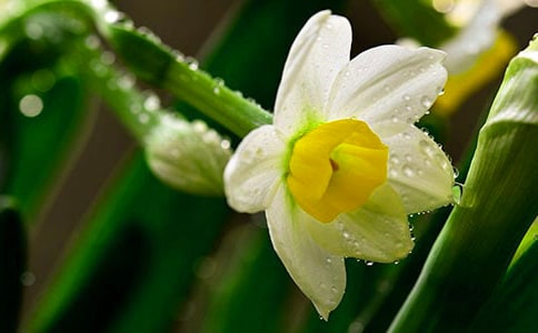 ˮ�ɵ�����300�ֳ���(9ƪ)