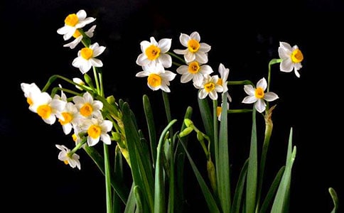 ˮ������600��5ƪ[�ر�]