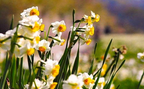 ������ϲ��ˮ�ɻ�����