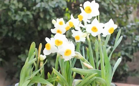 ˮ�ɻ���������400��