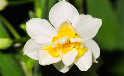 ��ѡˮ�ɻ����꼶���İ�ƪ