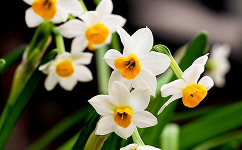 ˮ�ɻ����꼶���Ļ���8ƪ