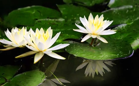 ʵ�õ�˯������300����ƪ