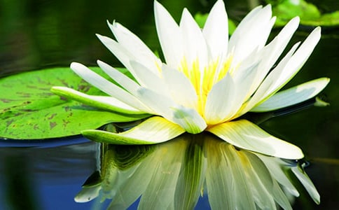 ʵ�õ�˯������300��