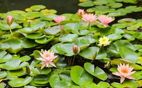 ˯��д������