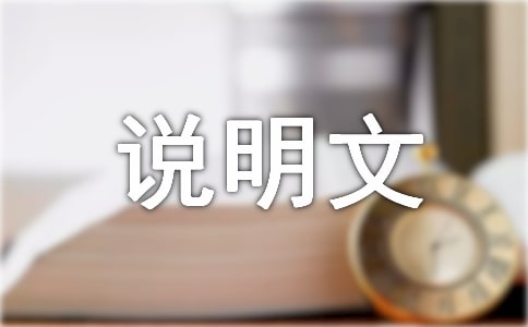 实用的说明文作文300字锦集9篇