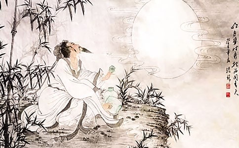 有关苏轼作文300字五篇