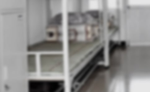 �����š���������300����ƪ