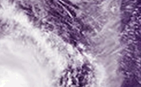 ��д̨�������600�֣���ѡ17ƪ��