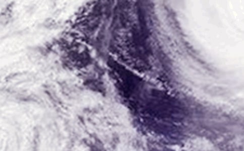 ̨������300�ֻ���(7ƪ)