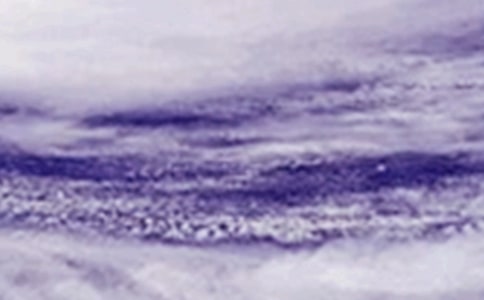 台风莫拉克小学作文