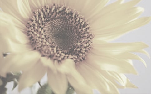 ����̫�������꼶����300��9ƪ