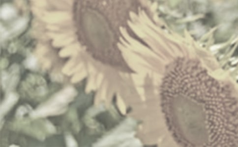 ̫��������300��