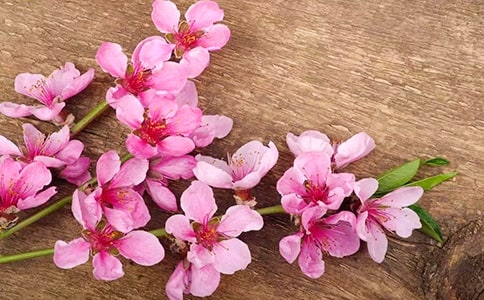 ��ѡ�һ����꼶����3ƪ