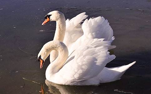 ʵ�õ��������600��ͨ��(7ƪ)