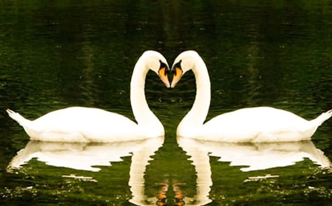 ������������600����ƪ