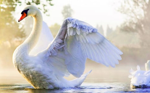 �������300�֡����8ƪ��