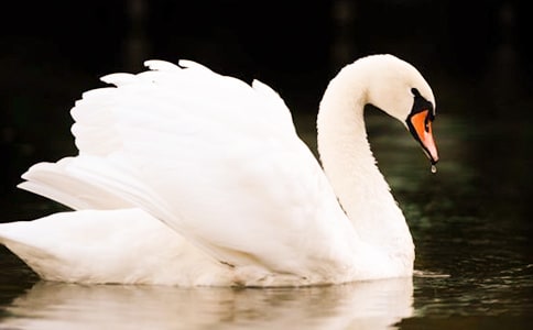 �����š���������300��4ƪ