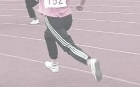 �ﾶ����Сѧ���ģ�ͨ��11ƪ��