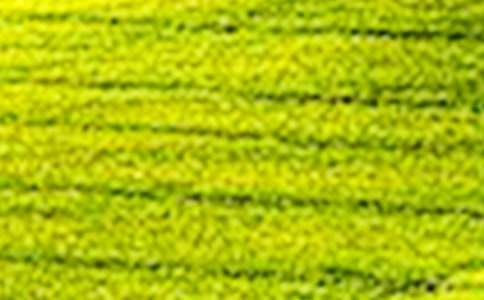 ����ѡ����Ұ��������15ƪ