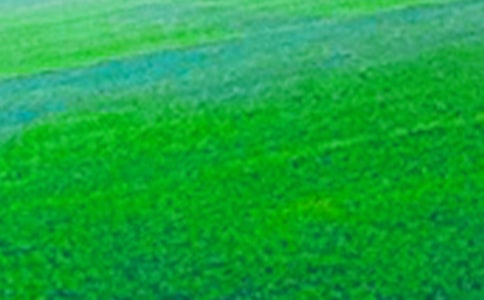 [��]��Ұ��������15ƪ