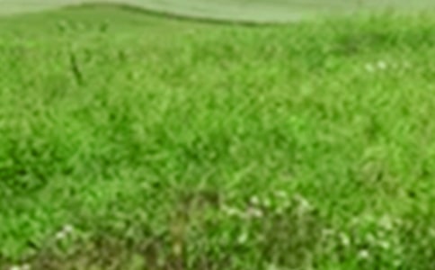 �Ұ���Ұ���Ĳ�����800��